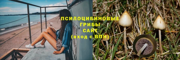 дурь Михайлов