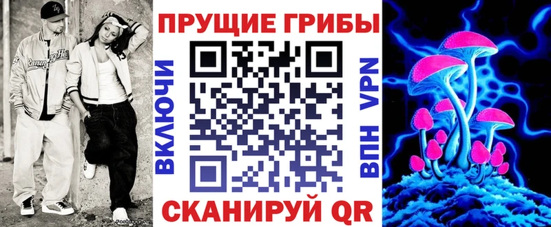 Псилоцибиновые грибы Psilocybine cubensis  Спасск-Рязанский 